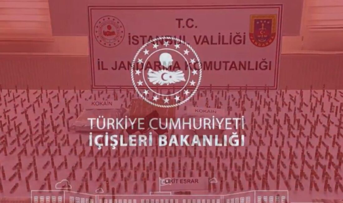 Jandarma ekiplerinin 20 ilde düzenlediği operasyonlarda 580 kilogram uyuşturucu madde,