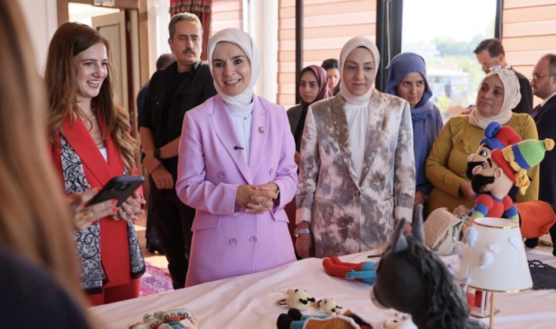 Aile ve Sosyal Hizmetler Bakanı Mahinur Özdemir Göktaş, 596 Aile