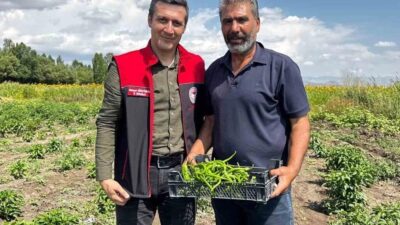 Ağrı’nın Ozanlar köyünde Tarım ve Orman Bakanlığı’nın yüzde 75 hibeli