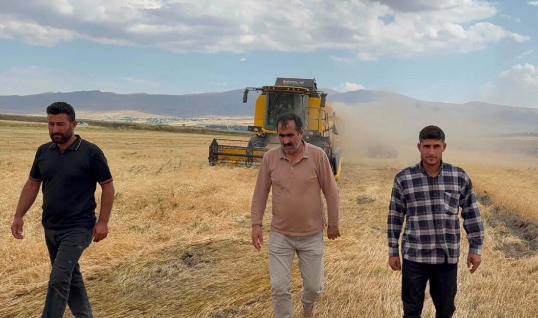 Ağrı'da Taşlıçay Belediye Başkanı Mehmet Ali Budak, ilçede tarımsal üretimin