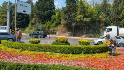 Antalya Büyükşehir Belediyesi Park ve Bahçeler Dairesi Başkanlığı ekipleri Kemer