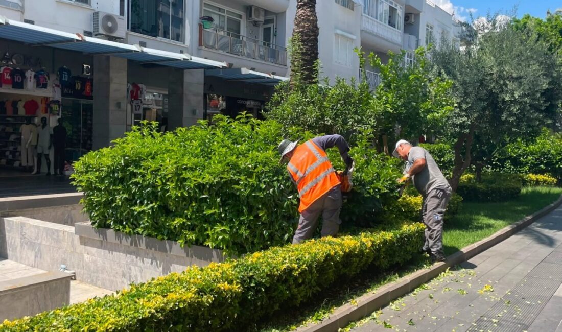 Antalya Büyükşehir Belediyesi Park ve Bahçeler Dairesi Başkanlığı ekipleri, Kemer’in