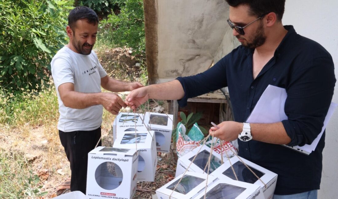 Antalya Büyükşehir Belediyesi çevre dostu tarımı ve doğal üretimi teşvik