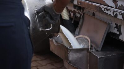Antalya Büyükşehir Belediyesi tarımsal kalkınma kooperatiflerine hibe ettiği süt soğutma