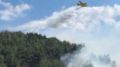 Orman Genel Müdürlüğü, Balıkesir’in Edremit ve Dursunbey ilçeleri ile Bilecik