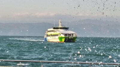 Bursa Deniz Otobüsleri’nin (BUDO) Bursa-Mudanya ile İstanbul-Kabataş arasındaki 4 seferi,