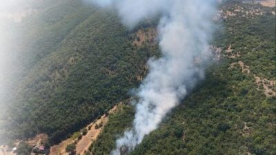 Bursa’nın Kestel ilçesine bağlı Gölcük Mahallesi ile Harmancık'ın Köçekler Mahallesi'nde