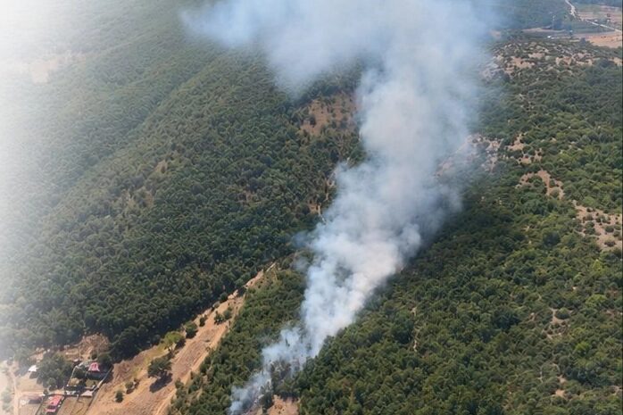 Bursa’nın Kestel ilçesine bağlı Gölcük Mahallesi ile Harmancık'ın Köçekler Mahallesi'nde