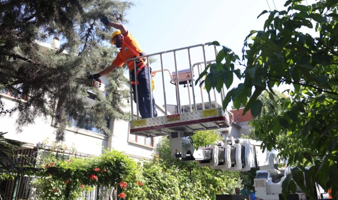 Bursa'da Osmangazi Belediyesi, daha yeşil ve düzenli bir kent hedefiyle