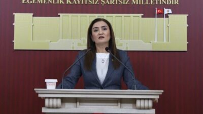 CHP Grup Başkanvekili Sevda Erdan Kılıç, Milli Dayanışma ve Toplumsal