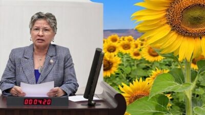 CHP Tekirdağ Milletvekili Nurten Yontar, ayçiçeğinde artan üretim maliyetlerine ve