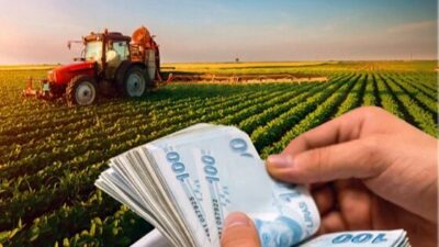 Tarım ve Orman Bakanlığı, üreticilere yönelik toplam 67 milyon liralık
