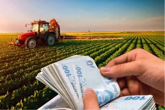 Tarım ve Orman Bakanlığı, üreticilere yönelik toplam 67 milyon liralık