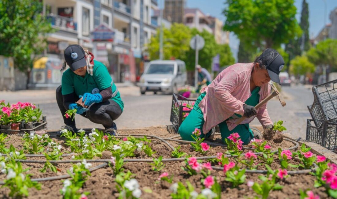 Milas Belediyesi Park ve Bahçeler Müdürlüğü ekipleri, ilçemizin farklı alanlarında