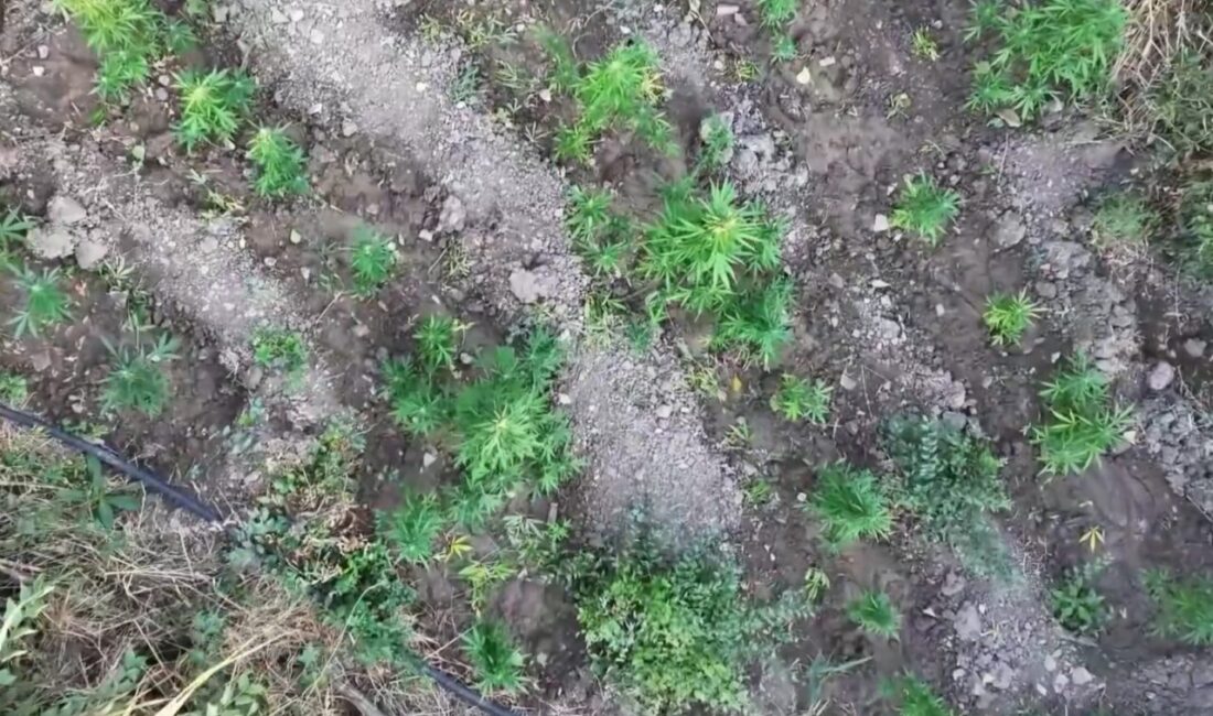 Diyarbakır’da jandarma ekiplerince düzenlenen operasyonda, 5,7 ton toz esrar elde