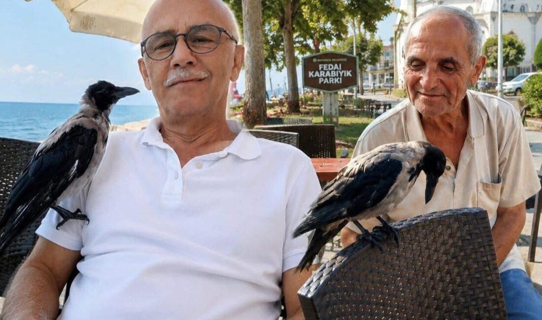 Düzce'nin Akçakoca ilçesi Yalı Mahallesi'nde, denize sıfır konumdaki sıra dışı
