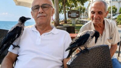 Düzce'nin Akçakoca ilçesi Yalı Mahallesi'nde, denize sıfır konumdaki sıra dışı