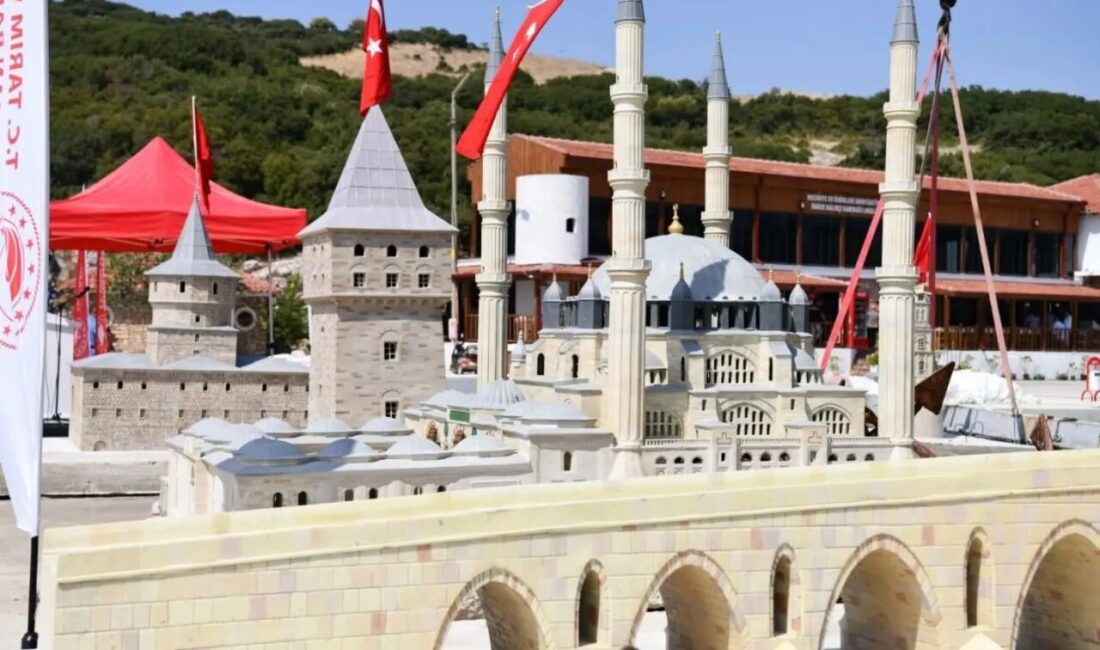 Saros Körfezi’nde deniz yaşamını desteklemek ve bölgenin dalış turizmini geliştirmek