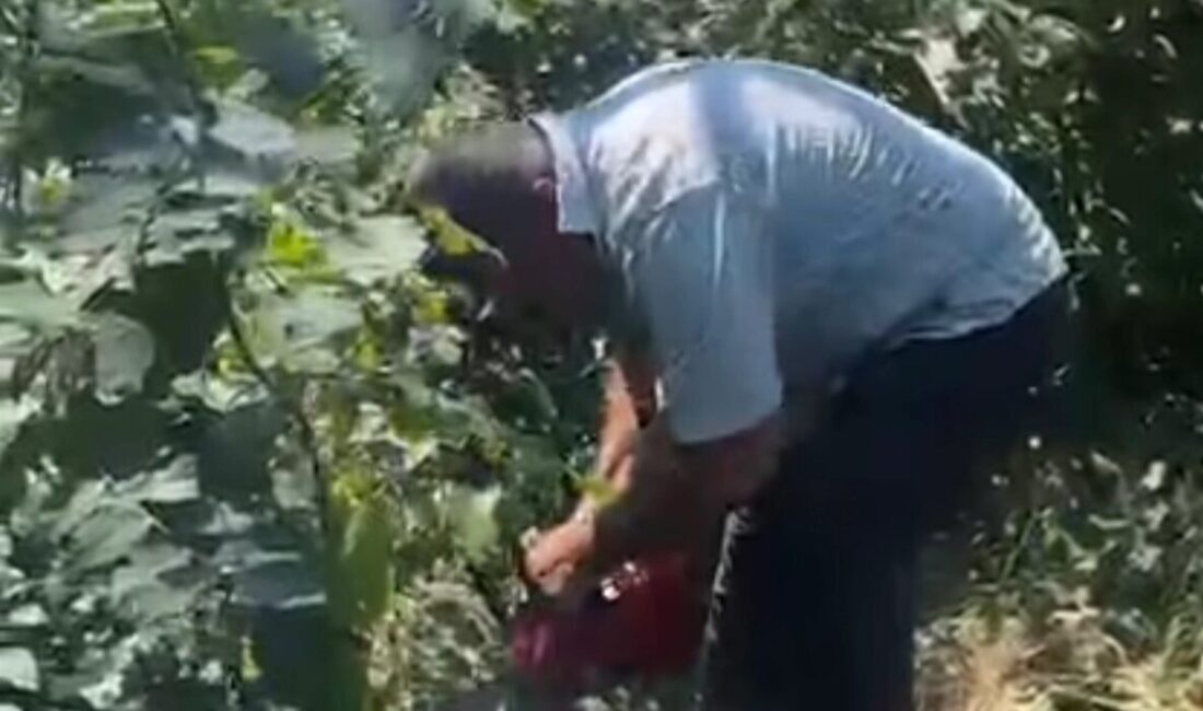 Zonguldak'ın Karadeniz Ereğli ilçesi Ruşanlar Köyü eski muhtarı Hikmet Erlat,