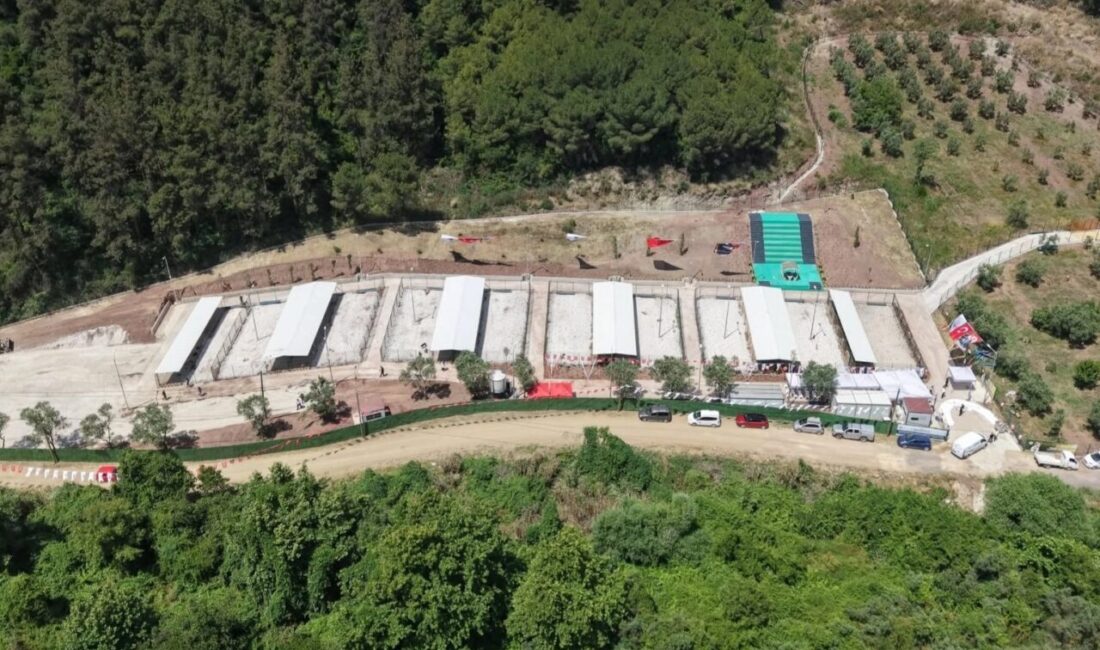 Gemlik Belediyesi, son günlerde sosyal medyada Umurbey’de bulunan Geçici Hayvan