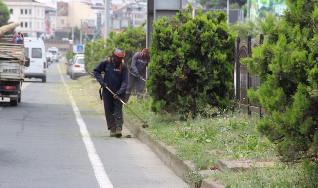 Giresun Belediyesi Temizlik İşleri Müdürlüğü ekipleri, kent genelinde temizlik ve