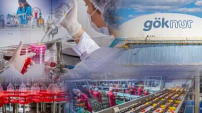 Göknur Gıda, şirkete Tasarruf Mevduatı Sigorta Fonu’nun (TMSF) yönetim kayyımı
