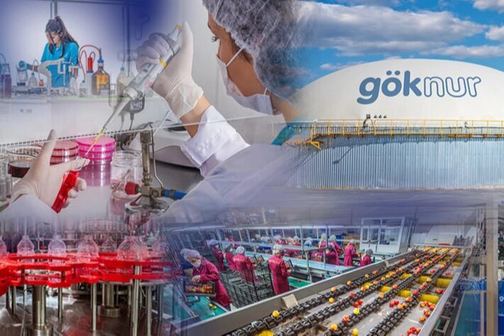Göknur Gıda, şirkete Tasarruf Mevduatı Sigorta Fonu’nun (TMSF) yönetim kayyımı