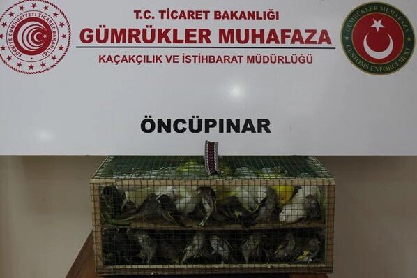 Ticaret Bakanlığı Gümrükler Muhafaza ekipleri, 2026 yılında düzenlediği 29 operasyonda