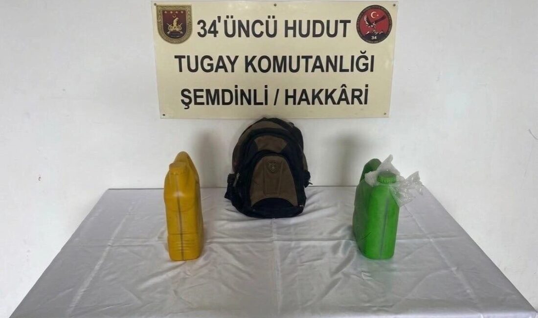 Milli Savunma Bakanlığı, Hakkâri hudut hattında yürütülen arama tarama faaliyetleri