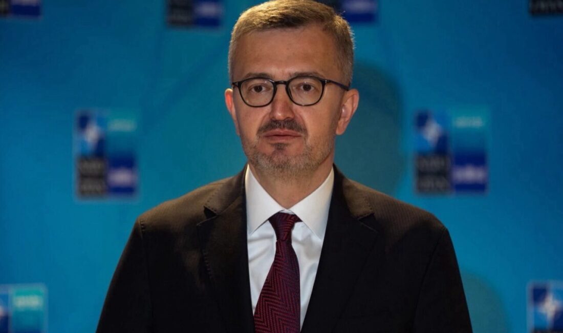 Cumhurbaşkanlığı İletişim Başkanı Burhanettin Duran, TBMM'de imzaya açılan "Millî Dayanışma