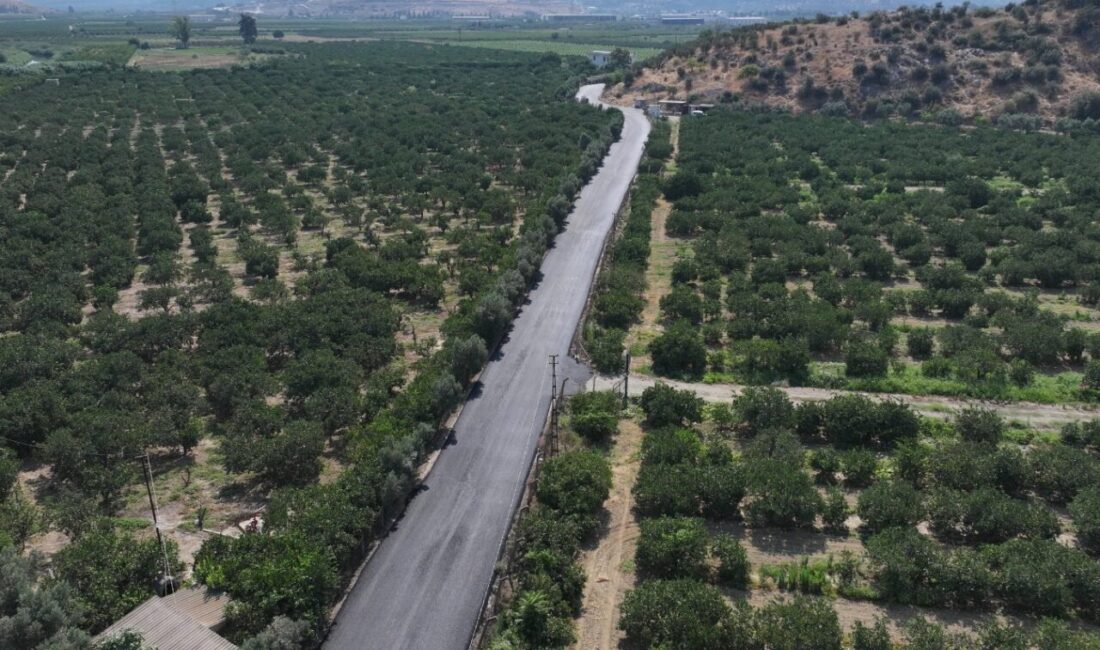 İzmir Büyükşehir Belediyesi, Efes Selçuk’ta başlattığı yol seferberliği kapsamında Zeytinköy