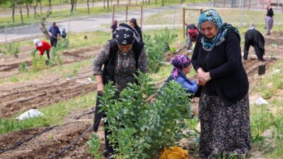 İzmir Büyükşehir Belediyesi, Aliberti Köşkü Kent Parkı'nda Kozağaç Mahalle Bostanı'nı