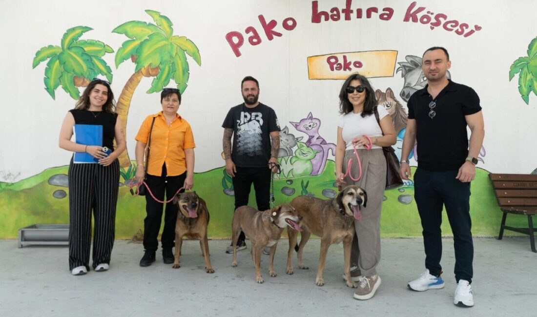 İzmir Büyükşehir Belediyesi, “Patili Dostlar İş Başında” projesiyle yıllardır belediye