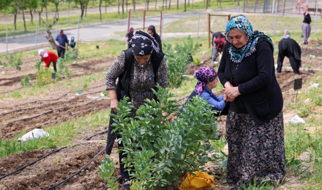 İzmir Büyükşehir Belediyesi’nin kent içinde tarımı teşvik eden ve kadın