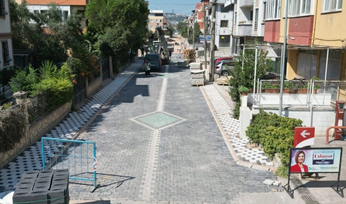 İzmit Belediyesi, Yenişehir Mahallesi Gülistan Sokak ve Asilkent Sokak’ta SEDAŞ