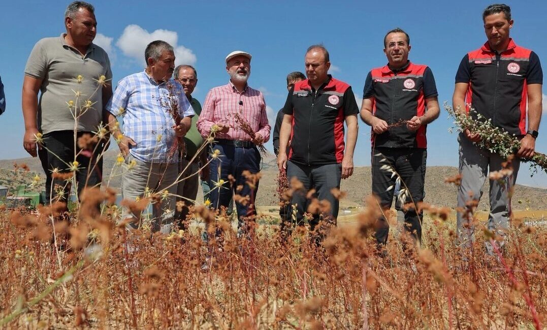 Kayseri Kocasinan Belediyesi, tarımsal üretimin çeşitlendirilmesi, arıcılığın geliştirilmesi ve çiftçilerin