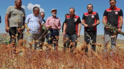 Kayseri Kocasinan Belediyesi, tarımsal üretimin çeşitlendirilmesi, arıcılığın geliştirilmesi ve çiftçilerin