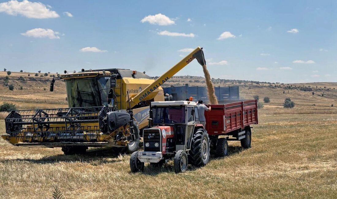 8 dekarlık araziden elde edilen 2,7 ton arpa, Kayseri Talas'ta