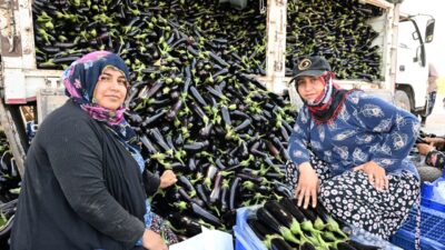Manisa’da geçtiğimiz kış yaşanan yoğun yağışlar ve sel nedeniyle tarım