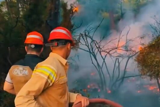 Muğla’nın Marmaris ilçesi Aksaz bölgesinde, karadan ulaşımın mümkün olmadığı sarp