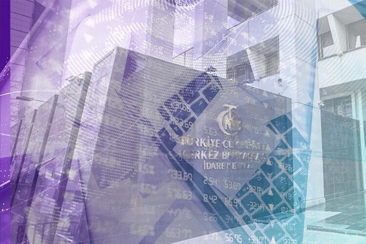 Türkiye Cumhuriyet Merkez Bankası (TCMB), Payco Elektronik Para ve Ödeme