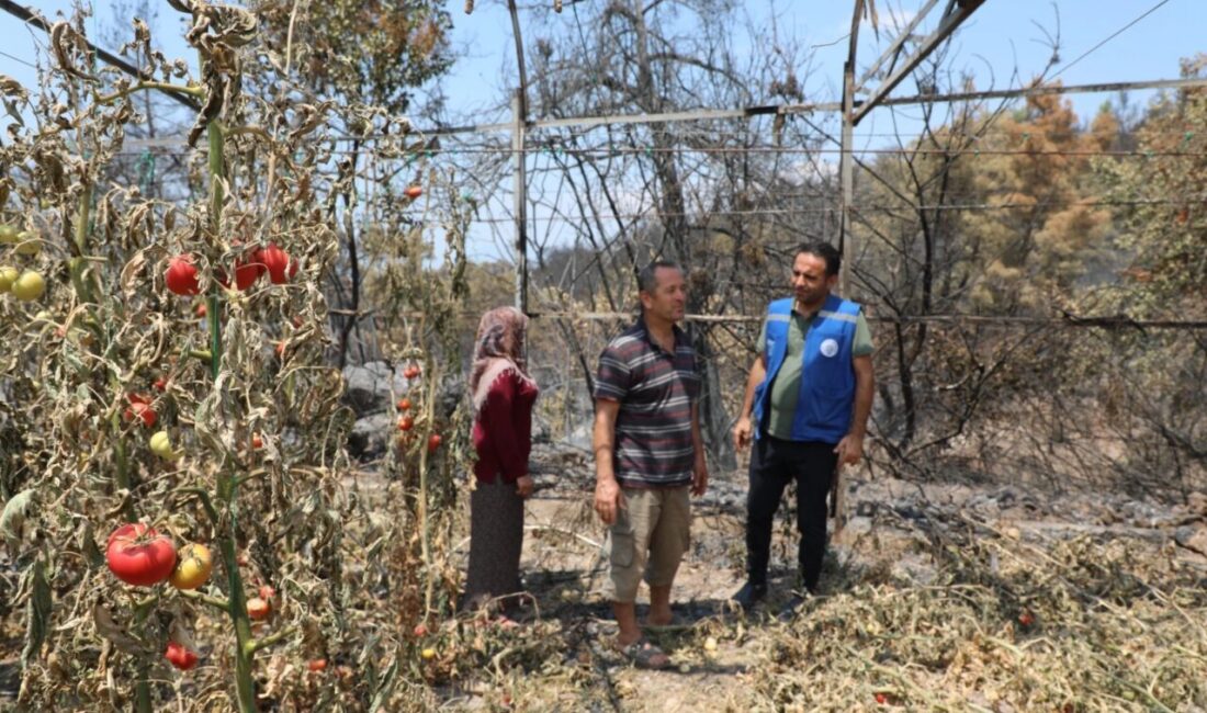 Muğla Büyükşehir Belediyesi, Seydikemer ilçesinde meydana gelen orman yangınının ardından