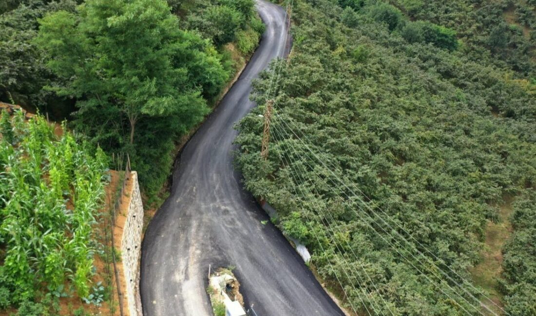 Ordu Büyükşehir Belediyesi, ilçelerde sürdürdüğü ulaşım yatırımları kapsamında Kabadüz’de önemli