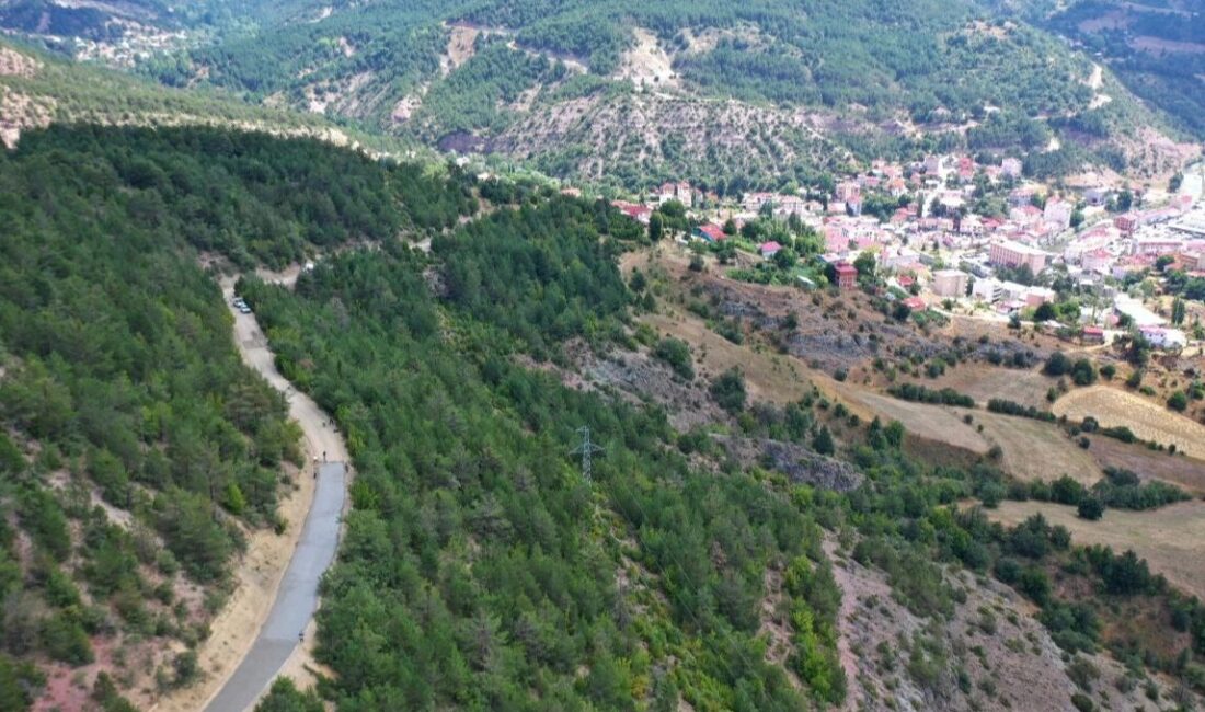 Ordu Büyükşehir Belediyesi, Mesudiye ilçesinde ulaşım yatırımlarına bir yenisini daha