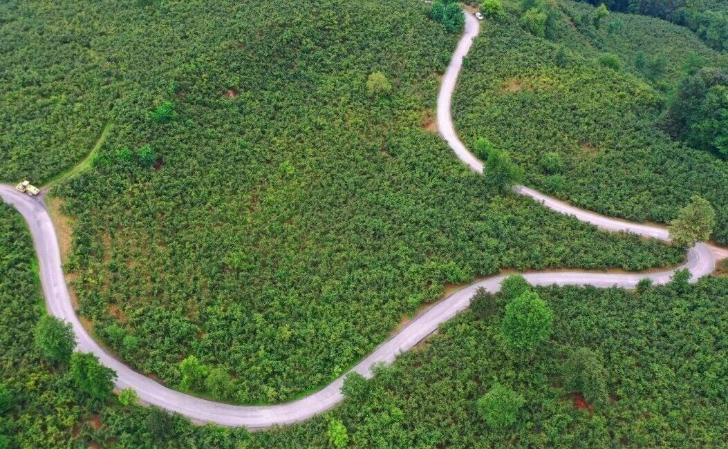 Ordu Büyükşehir Belediyesi tarafından Ulubey ilçesinde bulunan 7 km’lik güzergah
