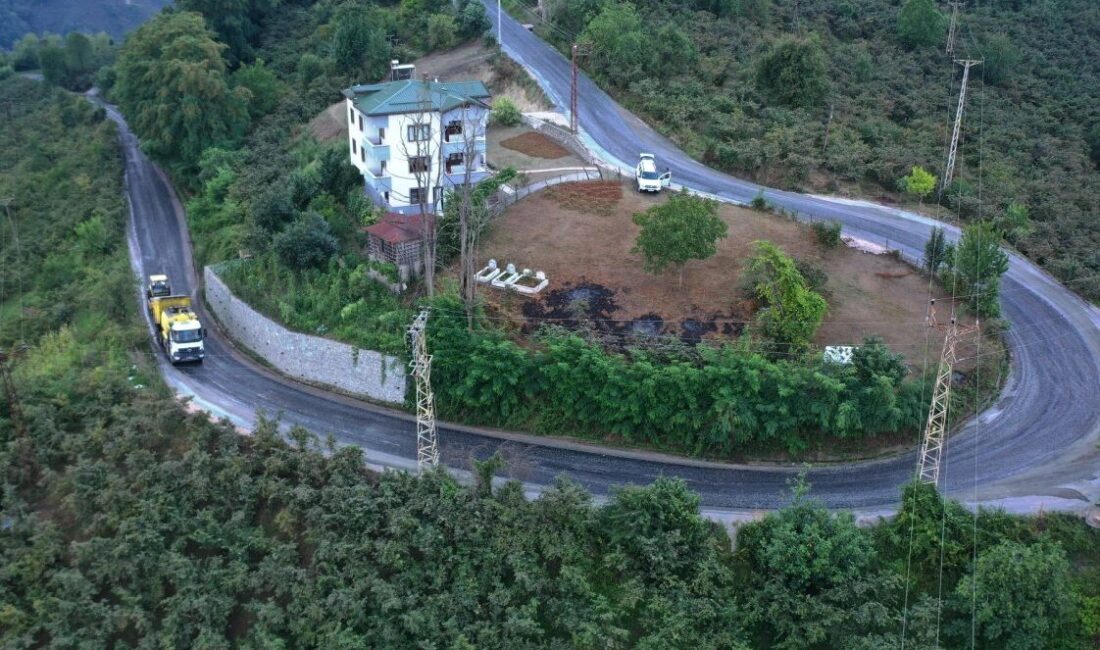 Ordu Büyükşehir Belediyesi, Gülyalı Ambarcılı-Mustafalı Mahallesi bağlantı yolunda asfalt çalışması