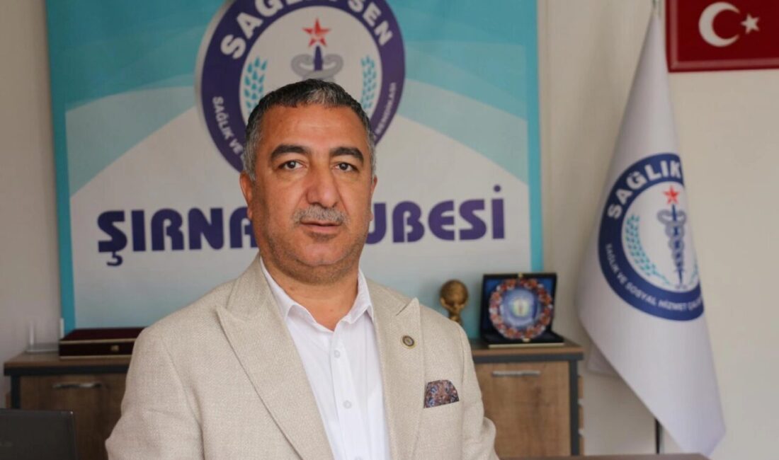 Sağlık-Sen Şırnak Şube Başkanı Sabğatullah Anmal, TBMM Genel Kurulunda kabul