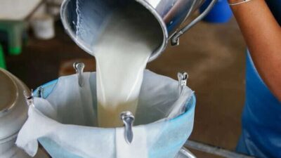 Ticari süt işletmelerince toplanan inek sütü miktarı, Haziran ayında geçen