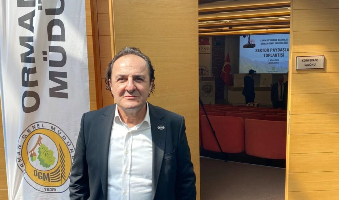 TAPSİAD, son günlerde Türkiye'nin farklı bölgelerinde meydana gelen orman yangınlarının