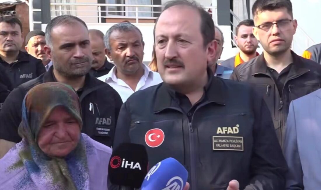 AFAD Başkanı Vali Ali Hamza Pehlivan, 2024 Sulusaray depreminden etkilenen